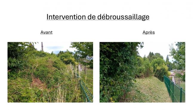 Débroussaillage